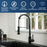 Loxton Solid Brass Matte Black Kitchen Faucet 3