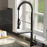 Tumba Solid Brass Matte Black Kitchen Faucet 2