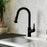 Dockton Solid Brass Matte Black Kitchen Faucet 2