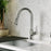 Dockton Solid Brass Stainless Steel Kitchen Faucet 2