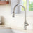Auburn Solid Brass Stainless Steel Kitchen Faucet 2