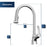 Chantilly Solid Brass Stainless Steel Kitchen Faucet 3