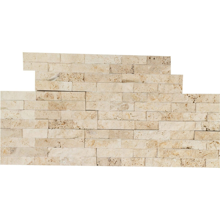 Travertine Tiramisu  Ledger Raw 2