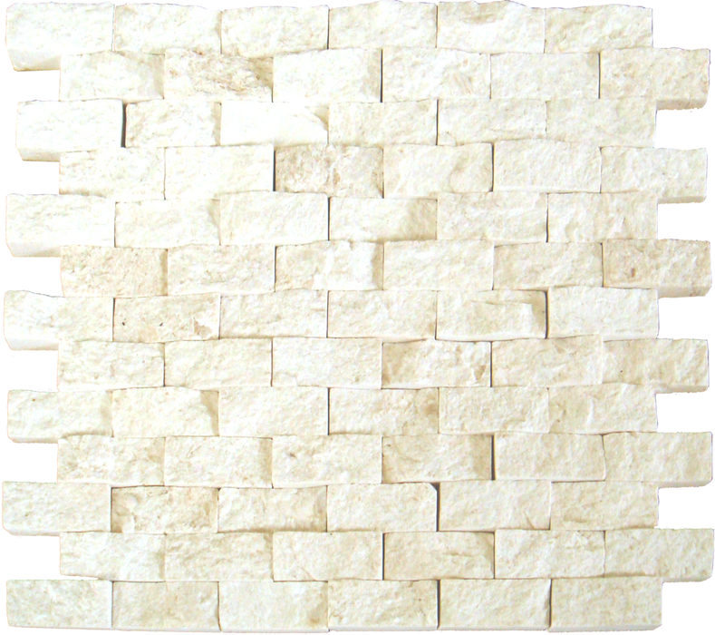 Limestone Shell Beach Mosaic Split Face 1