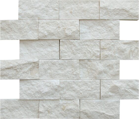 Limestone Shell Beach Mosaic Split Face 1
