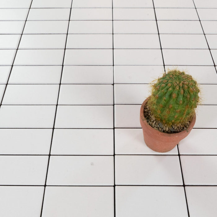 Porcelain Seta Ghiaccio Mosaic Matte 3