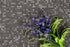Porcelain Anthologhia Plumbago Mosaic Glossy 4