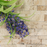 Travertine Tiramisu Mosaic Split Face 3
