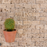Travertine Tuscany Rustic Mosaic Split Face 2