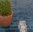 Porcelain Crystal Blue Mosaic Polished 3