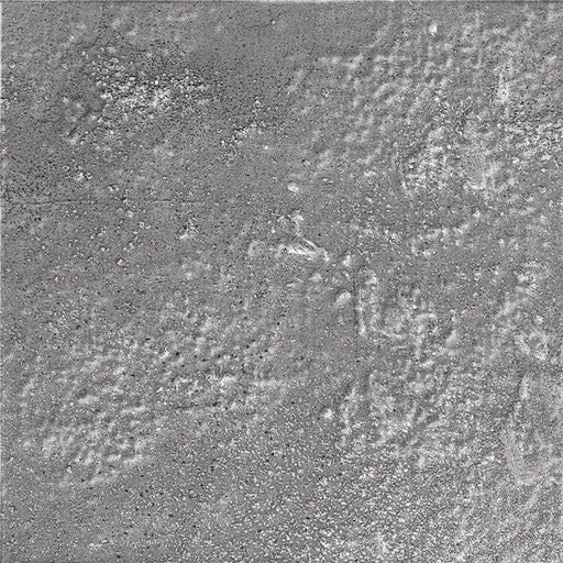 Porcelain Beach Grey Tile Polished 1