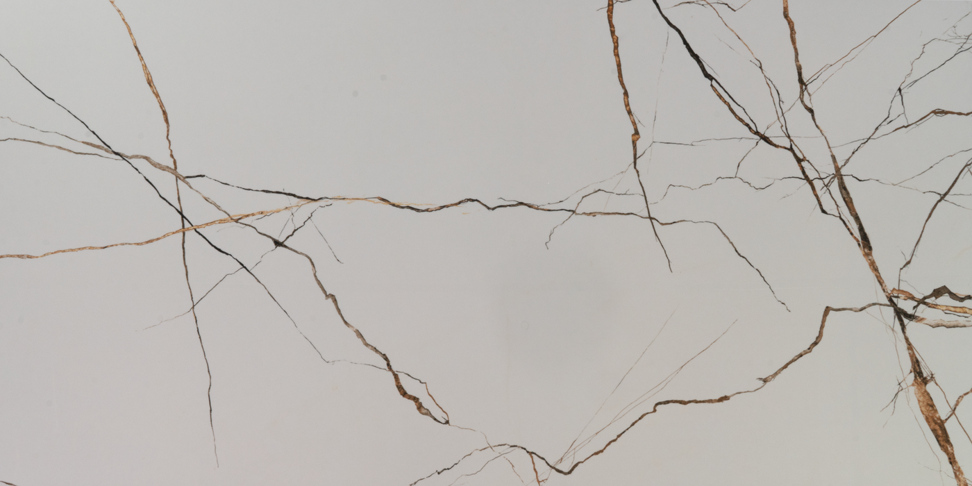 Porcelain Lichen Series Patagonia Tile Polished 1