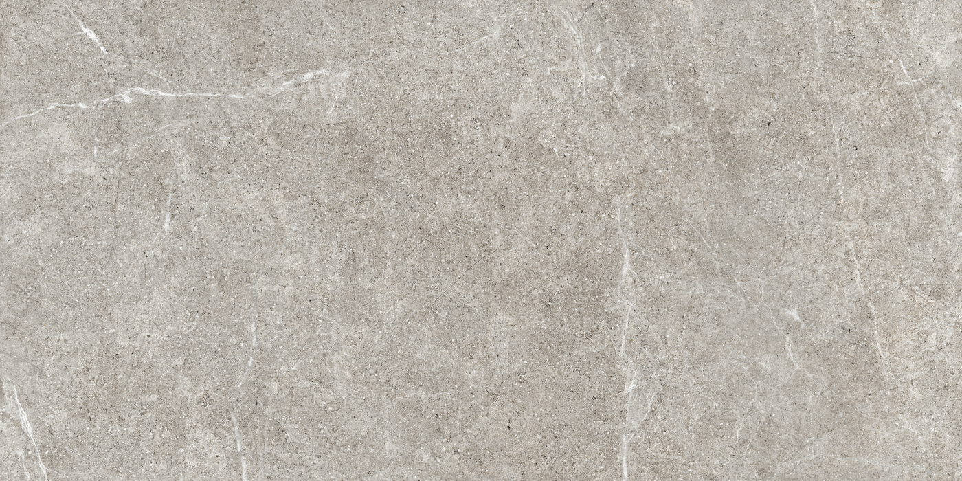 Porcelain Holystone Grey Tile Matte 1