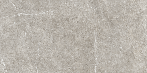 Porcelain Holystone Grey Tile Matte 1