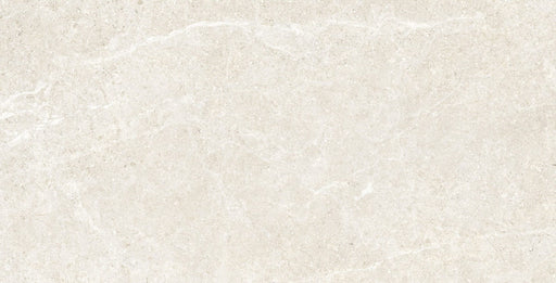 Porcelain Holystone White Tile Matte 1