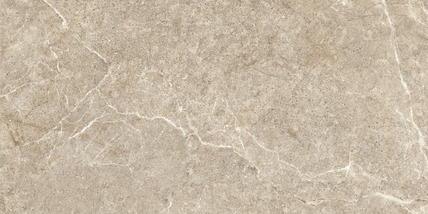 Porcelain Holystone Beige Tile Matte 1