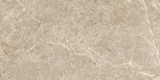 Porcelain Holystone Beige Tile Matte 1