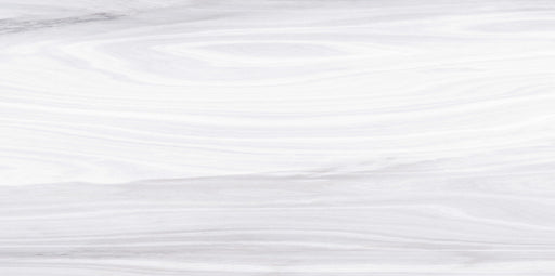 Porcelain Ontario Silver Tile Polished 1