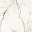 Porcelain Lichen Series Patagonia Tile Polished 1