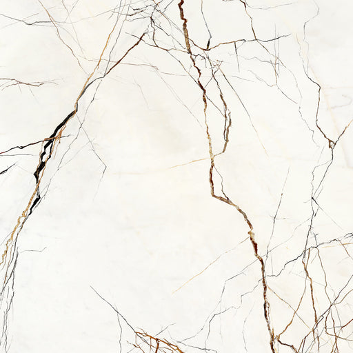 Porcelain Lichen Series Patagonia Tile Polished 1