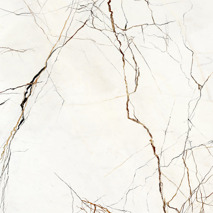 Porcelain Lichen Series Patagonia Tile Polished 1