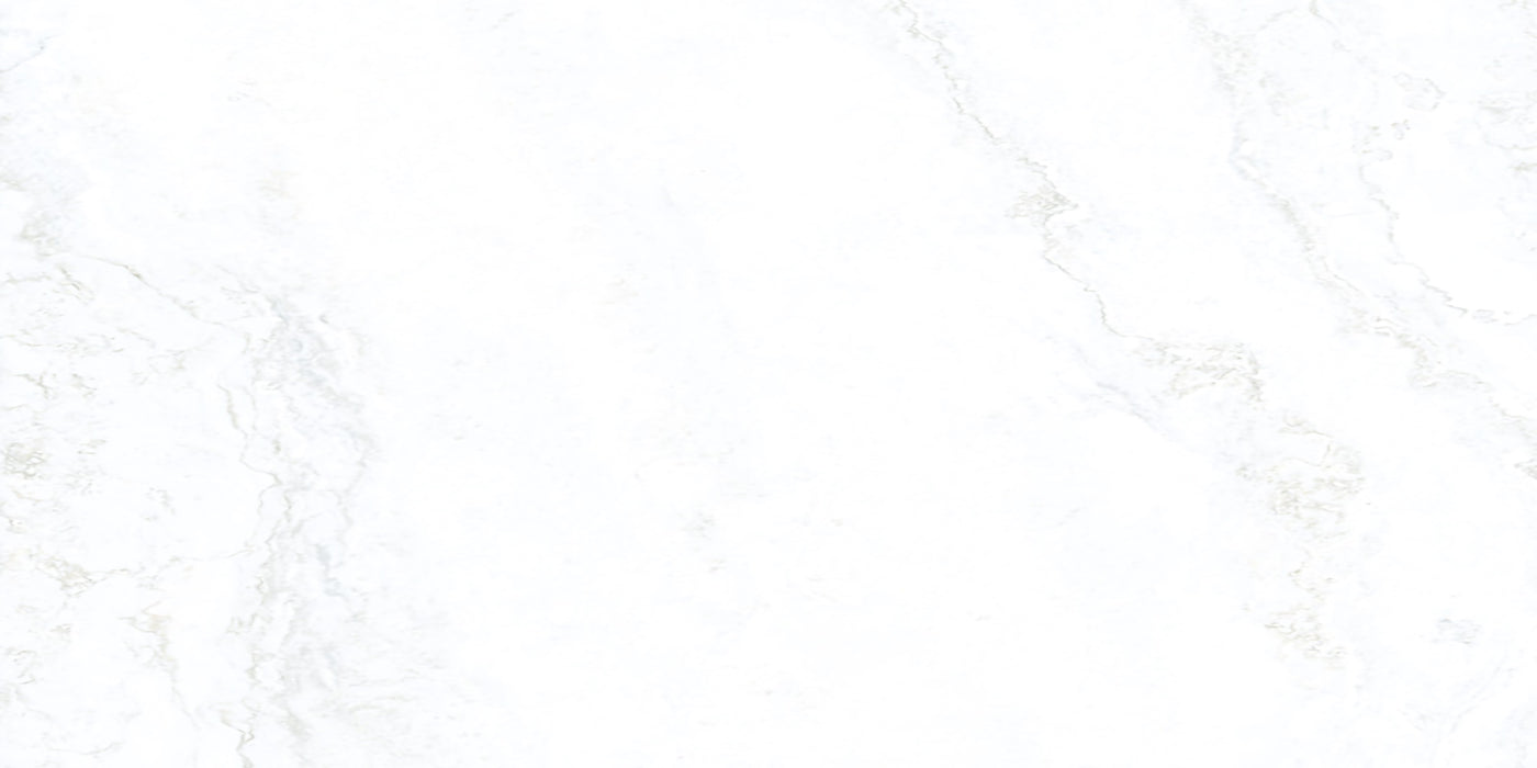 Porcelain Urbe White Gray Paver Matte 1