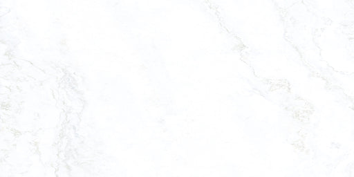 Porcelain Urbe White Gray Paver Matte 1
