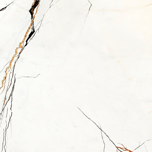 Porcelain Lichen Series Patagonia Naturalee Tile Matte 1