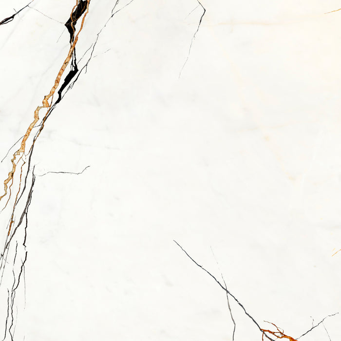 Porcelain Lichen Series Patagonia Naturalee Tile Matte 1