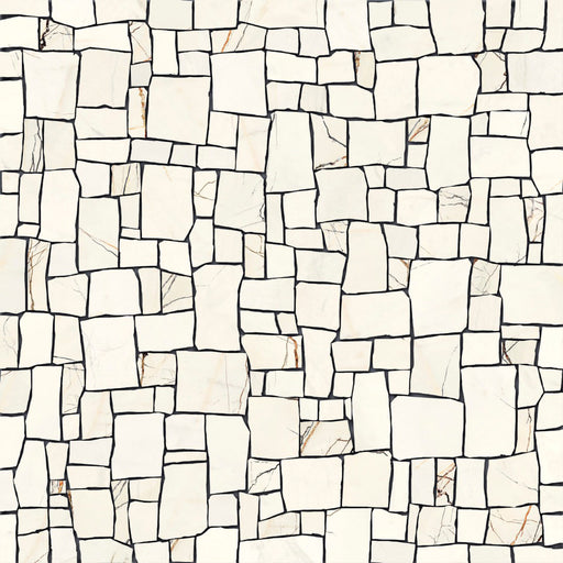 Porcelain Lichen Series Fragments Naturalee Tile Matte 1