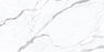 Porcelain Statuario Superiore Tile Matte 1