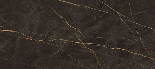 Porcelain Saint Laurent Tile Polished 1