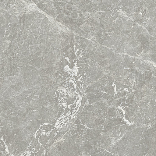 Porcelain Marmora Vein Touch Grigio Antico Tile Matte 1
