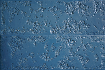 Porcelain Kamado Blue Tile Glossy 1