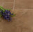 Travertine American Chestnut Versailles Pattern Chiseled & Brushed 5