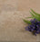 Travertine Ivory Light Versailles Pattern Chiseled & Brushed 5
