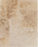 Travertine Tiramisu Versailles Pattern Brushed 1