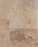 Travertine Tiramisu  Versailles Pattern Tumbled 1