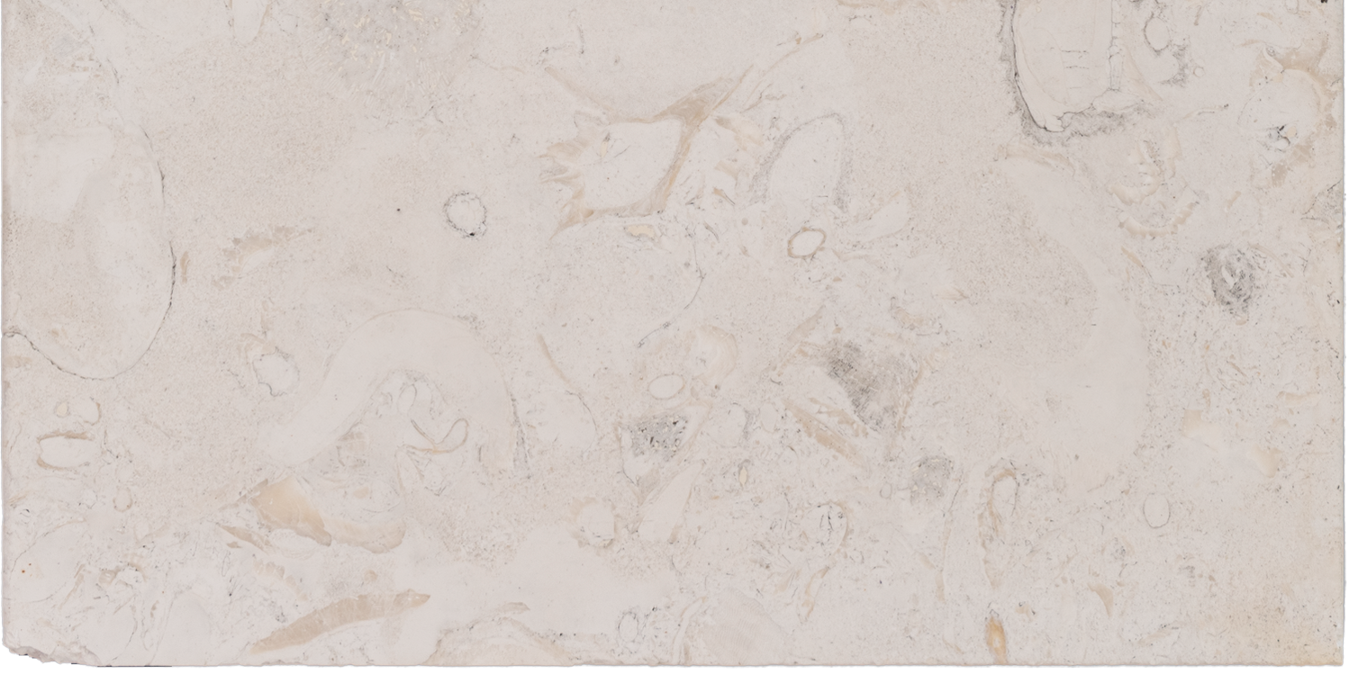 Keystone Tile Shell Beach Brushed Limestone Coping | Lowest Price ...