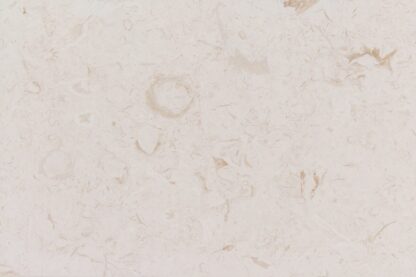 Limestone Shell Beach Tile Tumbled 1