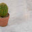 Marble Carrara Tile Polished 4