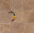 Travertine Ivory Light Tile Tumbled 1