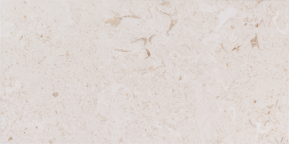 Limestone Shell Beach Paver Tumbled 1