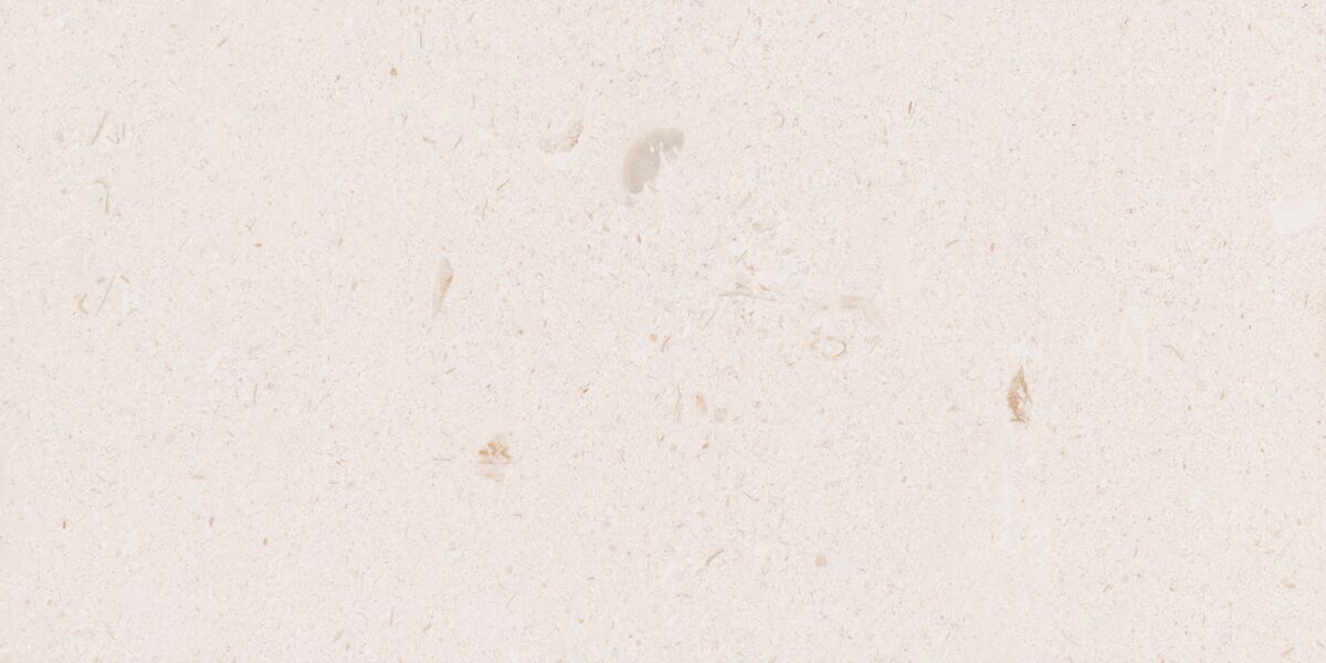 Limestone Shell Beach Bullnose Coping Leather 1