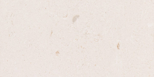 Limestone Shell Beach Bullnose Coping Leather 1