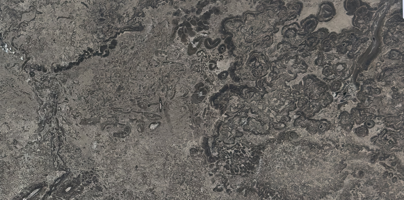 Excalibur Travertine Paver 1