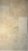 Travertine Colosseum Light Versailles Pattern Honed 1
