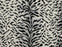 King Tiger Polypropylene Tuxedo 97164 Carpet Pattern 1