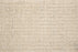 Kingsley Wool Blend Shell 16153 Carpet Pattern 1
