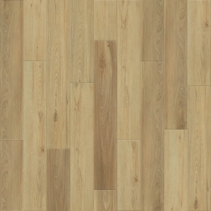 Empower High Density Fiberboard Laminate Frederick 5509 Laminate Wood Plank Embossed 1